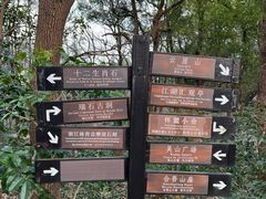 -吴山景区