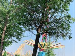 -凤凰欢乐大世界