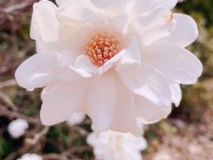 -陕西省西安植物园