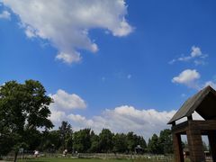 -田园东方蜜桃村的田野营地