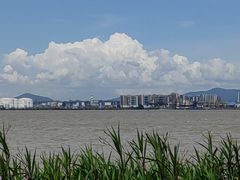 -海鸥岛
