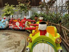 -南宫五洲植物乐园