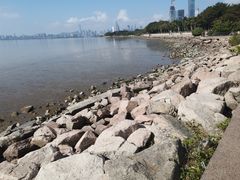 -深圳湾公园(南山区)