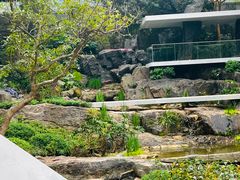 -广州市白云山风景名胜区