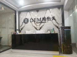 -DEM缔怡美科技美容
