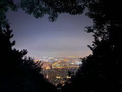 -惠山国家森林公园