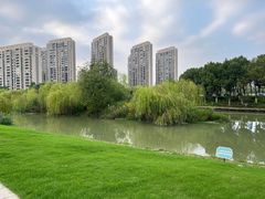 -皇粮浜湿地公园