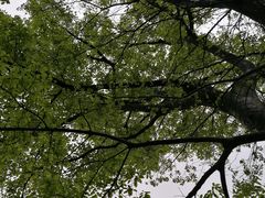 -东钱湖旅游度假区