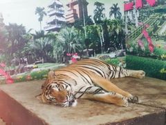 iphone_upload_pic-东芭乐园
