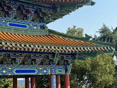 -阅江楼风景区