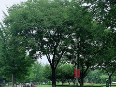 -西北农林科技大学(北校区)