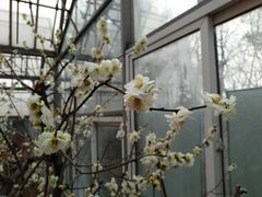 -北京鹫峰国家森林公园