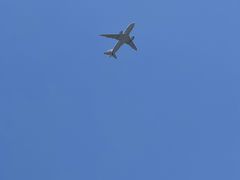 -空港花田景区
