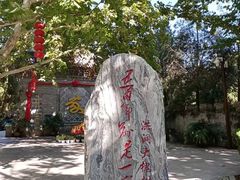 -大槐树寻根祭祖园