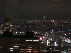 -东京都厅舍