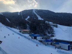 -亚布力新体委滑雪场