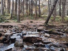 -秦岭风景区