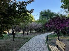 -仁和公园(顺义区)