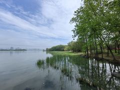 -长广溪湿地公园