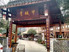 -青城甲(青城山店)