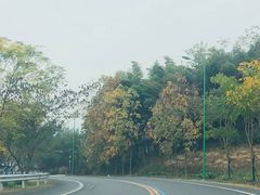 -天目湖御水温泉·度假酒店