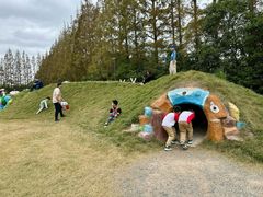 -前小桔亲子创意农场·草莓采摘·露营烧烤