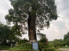 -韩湘水博园