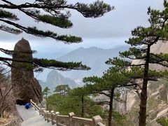 -黄山风景区