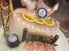 鲷鱼-东海怡品海鲜豆捞(星街坊店)