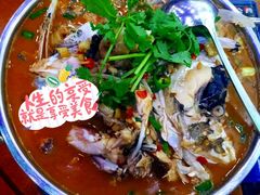 -全乐鱼馆·淳牌有机鱼直营店