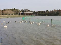 -东滩湿地公园观海楼餐厅