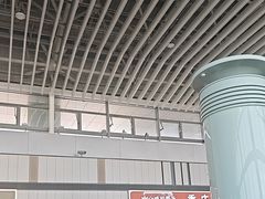 -青岛胶东国际机场