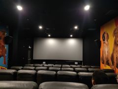 -大光明丽星VIP影城(昌里路杜比全景声店)