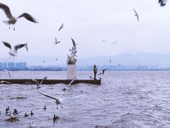 -西昌邛海湿地
