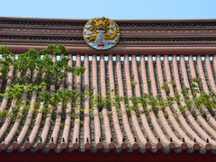 -苏州文庙(姑苏区)