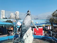 -海合安武汉极地海洋公园