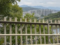 -福道