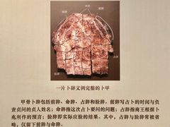 -安阳博物馆