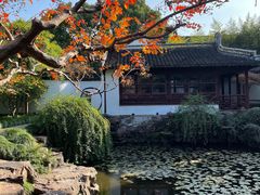 -上海醉白池公园
