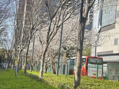 -星巴克(嘉定中信泰富万达广场店)