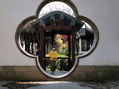-嘉定紫藤园