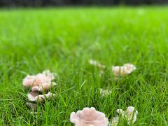 -中国证券博物馆