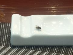 苍蝇-煲仔王海鲜酒家