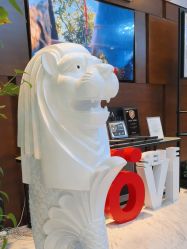 -洁铭新加坡医美