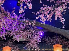 -荷塘秋月·本帮江浙菜(国权路店)