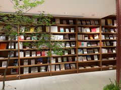 -二酉书店TOYOU BOOKS