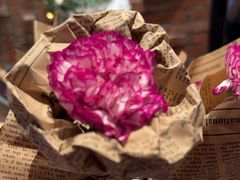 -LES ELITES 英集荟(南京西路店)