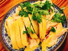 -九斤黄三黄鸡专卖店