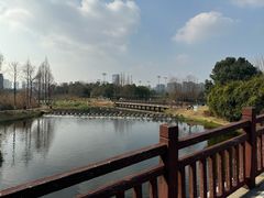 -洋湖国家湿地公园