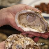二刷的店，海鲜很新鲜，份量也很足哦，关键是价格亲民呢